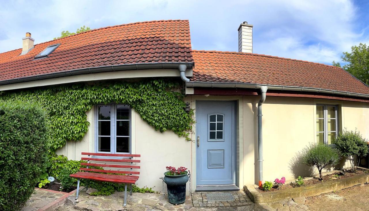 Fewo Im Kneipenviertel Altkoetzschenbroda Radebeul Esterno foto
