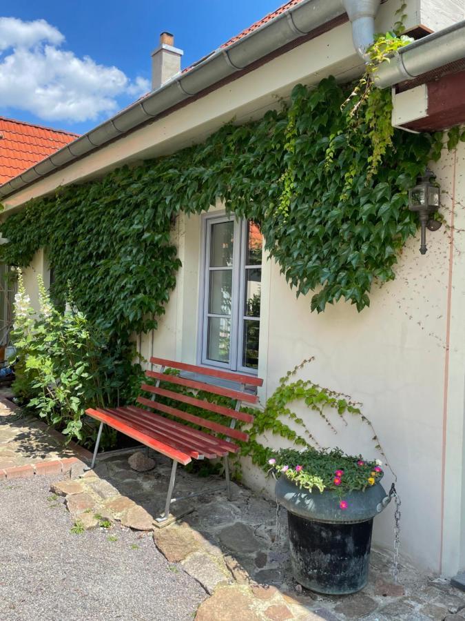 Fewo Im Kneipenviertel Altkoetzschenbroda Radebeul Esterno foto